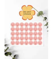 100 Adet Teşekkür Ederiz Stickers Paketleme Kargo Çıkartma PYT0KSTK145