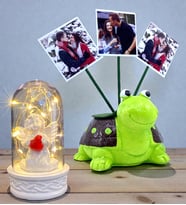 Kişiye Özel Hediye Seti 3 Fotoğraflı Sevimli Yeşil Kaplumbağa ve Led Işıklı Fanus (Model 3)
