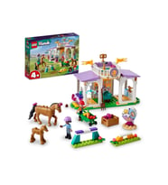 Lego Friends At Eğitimi 41746