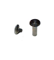 Cilt Menü, Katalog, Kartela Vidası, 6 Mm - Nikel, 1 Adet