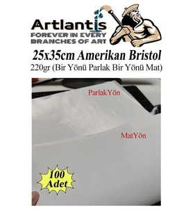 Amerikan Bristol Karton 25x35 cm 100 Adet 220 gr Bir Tarafı Parlak Bir Tarafı Mat Kağıt Biristol Karton (Beyaz)