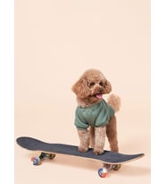 Köpek kıyafeti, Duck Dash Köpek sweatshirt, Küçük ırk köpek kıyafeti 0-15kg (Yeşil)