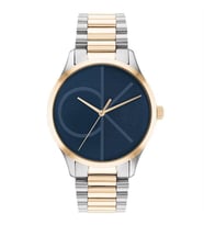 Calvin Klein CK25200165 Erkek Kol Saati