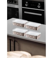 4'Lü Set No Frost Saklama Kabı Terra 1600 ML