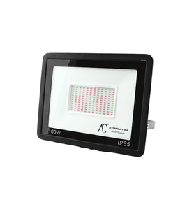 100W IP65 Kırmızı Işık Projektör