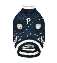 Nevis Turtleneck Knit Köpek Kıyafeti