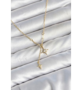 Pirinç Gold Renk Zirkon Taşlı Minimal Sallantılı Kutup Yıldızı Model Kadın Kolye - EBJ260725W44319
