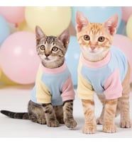 Bubbles Pastel Kedi Tişörtü  Cepli Şeker Renkli Yazlık Kedi Kıyafeti  Küçük ve Orta Irk Kediler İçin