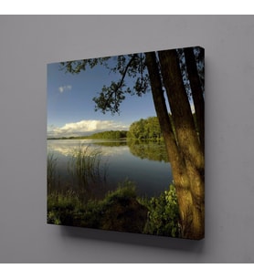 NEHİR MANZARASI KANVAS TABLO 100x100cm (Karışık)