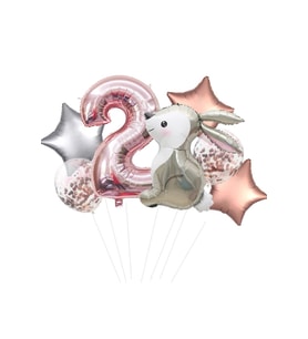 TAVŞAN TEMEALI FOLYO BALON SET
