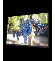 Meyveler Cam Tablo 4mm Dayanıklı Temperli Cam