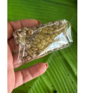05 CM 20 GR DELİKLİ AHŞAP TAKI BONCUĞU