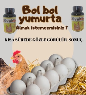 OVUMİX   100 Gr Tüm Kanatlı Türleri İçin Üretim Vitamini