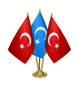 Masa Üstü Doğu Türkistan Bayrağı Türk Bayrağı Üçlü Pirinç Direk Masa Bayrak Seti