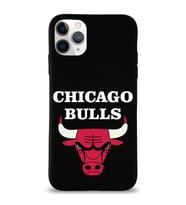 Apple iPhone 11 Pro Uyumlu Lansman Kılıf Chicago Bulls Tasarımlı Altı Kapalı İçi Kadife Kaplı  Kapak (Şeffaf)