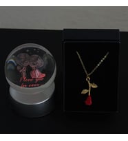 Sevgili Modeli Cam Küre Işıklı & Gül Kolye Özel Kutulu Set