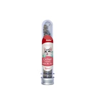 Bioline Catnip Kedi Otu 45 Ml