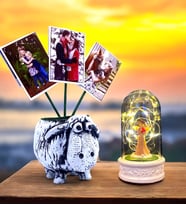 Size Özel 3 Fotoğraflı Kuzu Saksı & Led Işıklı Şans Melekli Fanus  Hediye Seti