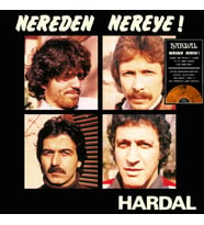 Hardal Nereden Nereye Renkli Baskı -  Plak (Standart)