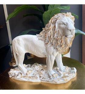 ASLAN BİBLO HF248-6