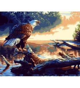 Göldeki Kartal Sayılarla Boyama Seti Canvas Kasnaklı 40 x 50 cm