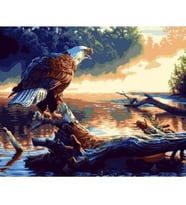 Göldeki Kartal Sayılarla Boyama Seti Canvas Kasnaklı 40 x 50 cm