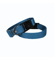 Köpek Tasması Dokuma 2 cm - Min: 30 cm - Max: 50 cm Mi