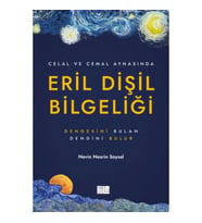 Eril Dişil Bilgeliği