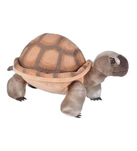 Wild Republic Çöl Kamplumbağası 30 cm 22001