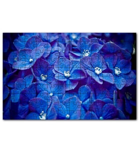Cakapuzzle Mavi Taç Yapraklı Çiçekler Beyaz Tohumları Puzzle Yapboz MDF (Ahşap) (120 Parça)
