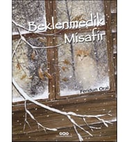 Beklenmedik Misafir