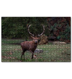 Cakapuzzle Ormandaki Erkek Geyik  Puzzle Yapboz MDF (Ahşap) (120 Parça)
