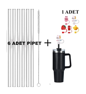 6 Adet Şeffaf Pipet Set Stanley Quencher Uyumlu H2.0 30/40 Oz Uyumlu Aksusuar Set Figür Pipet (Karışık)