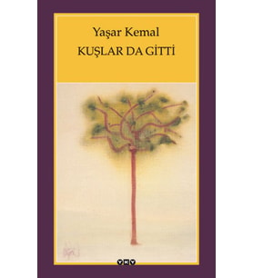 Kuşlar da Gitti