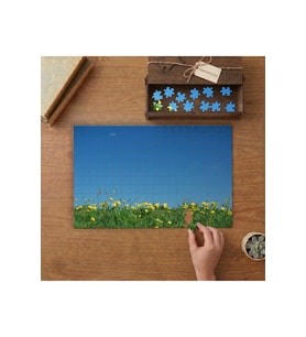 Sarı Karahindiba Bahçeşi - Doğa - Yeşillik Tasarımı 240 parça Ahşap Puzzle Ahşap Kutuda MP02577