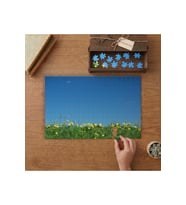 Sarı Karahindiba Bahçeşi - Doğa - Yeşillik Tasarımı 240 parça Ahşap Puzzle Ahşap Kutuda MP02577