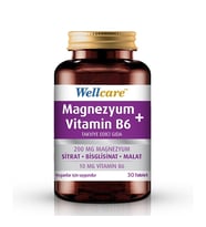 Wellcare Magnezyum + Vitamin B6 30 Tablet