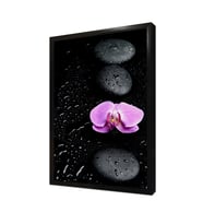 Spa Taşları ve Orkide Çerçeveli Mdf Tablo