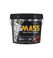 BigJoy Sports Bigmass GH+ Factors Çikolata 3000 gr