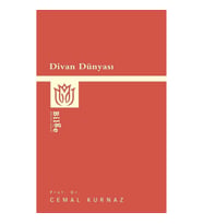 Divan Dünyası