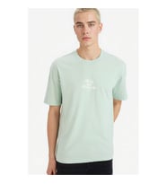 Defacto Boxy Fit Yeşil Erkek T-Shirt F8167AX/GN1180