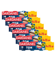 Dardanel Ton Balıgı 4x75 gr x 6 Adet