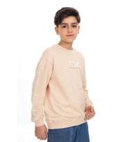 Toontoy Erkek Çocuk Baskılı Sweatshirt (Bej)