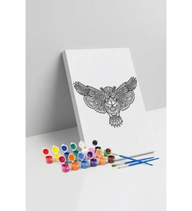 Baykuş Desenli Mandala Tuval Boyama Seti 40x50 cm