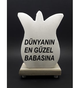 BABALAR GÜNÜNE ÖZEL TUZ LAMBA