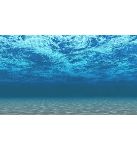 Kanki Pet KP1055208 Akvaryum Arka Fon Yapıştırma 105 x 52 CM