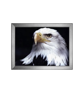 Hayvanlar Temalı Kanvas Tablo 50 x 70 cm Silver Çerçeve