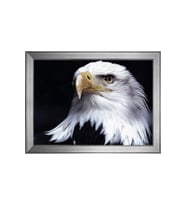 Hayvanlar Temalı Kanvas Tablo 50 x 70 cm Silver Çerçeve