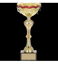 ODAK KUPA - X Large Kupalar - XL-008 B - 33 cm