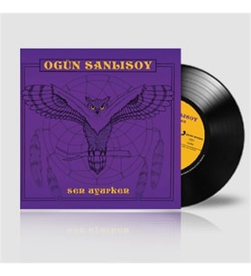 Ogün Sanlısoy Sen Uyurken - Plak (Standart)